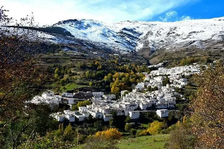 Apartamentos Casa Fermina - A 2 Horas De Las Pistas De Esqui Trevelez Spain